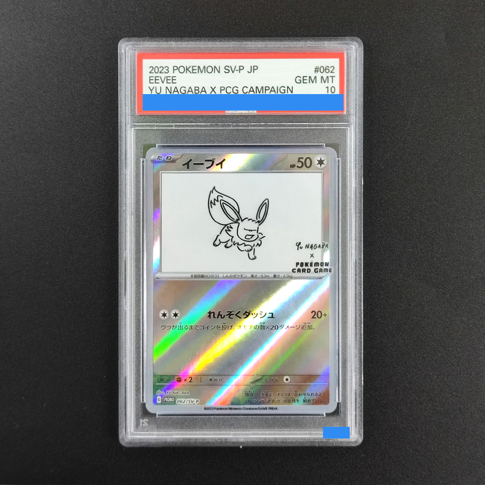 DIY Pokemon Rating card JAPANE - Board Game Japan ulasan dan harga